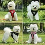 Dog Harnesses Leash, Mesh Cloth Pet Collars, Puppy Breathable Reflective Lead Dog Rope, Adjustable Pet Supplies Christmas Gift - Image 12