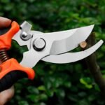 One Set, Branch Scissors, Stainless Steel Fruit Scissors, Multi-Functional Branch Scissors, Garden Scissors, Anti-Slip, Labor-Saving, Manual Pruning Scissors - Image 2