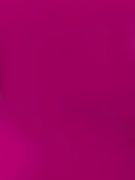 Burnt Floral Lace Top - Image 7