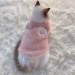Adorable Autumn And Winter Cat Winter Clothes, Thickened Vest For Warmth, Anti-Fall Design For Puppies, Kittens, And Small Pets - Image 2
