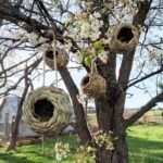 2Pcs/3Pcs/4Pcs Hand Woven Hummingbird Nest House - Perfect For Outdoor Garden And Yard, Ball Shape Design For Comfortable Nesting - Image 4