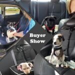 Adjustable Dog Car Seat Belt With Secure Buckle - Heavy-Duty Pet Safety Harness, Quick-Release Buckle, Machine Washable Dog Leash For Suvs, Sedans, Trucks - Vehicle Restraint For Small To Large Dogs - Travel Safety Leash, Dog Seatbelt, Sturdy Metal Clip, Reinforced Stitching, Suv Owners, Dog Leash For Car, Dog Harness, Nylon Cord For Car Belt, Car Belt, Dog Belt, Dog Manner Belt, Dog Seatbelt For Car, Dog Car Restraint, Dog Harness For Small/Medium/Large Dogs, Dog Accessory - Image 10