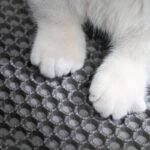 Household Cat Litter Mat Cat Litter Box Anti-Splash Mat Extra Large Double-Layer Filter Anti-Leaking Out Control Sand Mat Pet Cat Supplies - Image 4