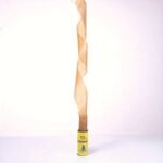 10Pcs Green Fly And Fruit Fly Sticky Traps - Non-Toxic Pest Control For Orchards, Gardens, Restaurants, Kitchens, And More: A Highly Effective Product, Fly Catcher Sticky, Fly Trap Indoor, Fly Trap Sticky, Fly Catcher Net, Fly Trap, Latest Fly Trap, Egg Fly, Fruit Fly Trap, Fly Killer, Ant Killer, Mouse Killer, Insect Catcher, Spider Catcher - Image 6