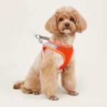 Comfy & Safe Pet Harness: Soft Mesh Cat & Dog Vest With Reflective Strip For Small Dogs - Image 7