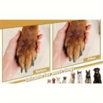 Pet Nail Care | Dog Nail File | Scratch Square For Dogs | Stress-Free Nail Care | Durable Pp Material - Image 4