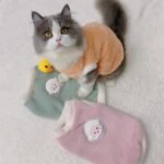 Adorable Autumn And Winter Cat Winter Clothes, Thickened Vest For Warmth, Anti-Fall Design For Puppies, Kittens, And Small Pets - Image 11