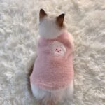 Adorable Autumn And Winter Cat Winter Clothes, Thickened Vest For Warmth, Anti-Fall Design For Puppies, Kittens, And Small Pets - Image 9