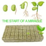 100/50Pcs 1-Inch Absorbent Cubes For Gardening, Plant Cuttings & Hydroponics - Mixed Colors, High-Quality Seedling Starter Blocks For Indoor/Outdoor Use, Easy To Use & Store, Seedling Starter Cubes, Indoor Gardening, Natural Appearance, Durable Construction, Rockwool, Hydroponic Seed Germinator, Garden Tray Seed Starting/Seedling Starter Tray, Soil Blocker Mini, Hydroponic Growing System, Hydroponics, Grow A Garden - Image 6