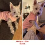 Cozy Plush Dog Sweater Coat For Small & X-Small Breeds - Adjustable Winter Spring Fall Apparel With Paw Print Design, Machine Washable, 4 Colors (Green/Blue/Purple/Pink), Small Dog Sweater, Pet Clothing, Pullover Style, Soft Fabric, Pet Fashion, Fashionconscious Pets - Image 4
