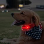 Led Webbing Collar, Suitable For Small To Medium Dogs - Keep Your Pet Safe And Visible During Nighttime Walks - Image 12