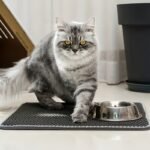 Household Cat Litter Mat Cat Litter Box Anti-Splash Mat Extra Large Double-Layer Filter Anti-Leaking Out Control Sand Mat Pet Cat Supplies - Image 10