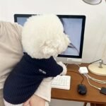 1Pc Stylish Pet Turtleneck Sweater - Soft Polyester, Round Neck, Machine Washable, Ideal For Small To Medium Breeds, Autumn & Spring Fashion, Pet Clothing | Stylish Petwear | Texture - Image 2