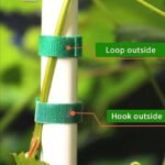 5 Meters/Roll Reusable Nylon Plant Tie - Green Garden Plant Bandage Cable Tie - Self-Adhesive Plant Fastening Tape - Suitable For Plants, Gardens, Home - High-Quality, Durable And Easy To Use - Image 8