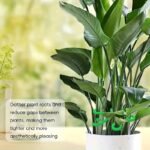 4 Pcs Plant Support Cages, Plastic Climbing Pole Hooks, Reusable Indoor & Outdoor Plant Climber Frames, Flower Post Grid Growing Accessories - Image 7