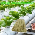 100/50Pcs 1-Inch Absorbent Cubes For Gardening, Plant Cuttings & Hydroponics - Mixed Colors, High-Quality Seedling Starter Blocks For Indoor/Outdoor Use, Easy To Use & Store, Seedling Starter Cubes, Indoor Gardening, Natural Appearance, Durable Construction, Rockwool, Hydroponic Seed Germinator, Garden Tray Seed Starting/Seedling Starter Tray, Soil Blocker Mini, Hydroponic Growing System, Hydroponics, Grow A Garden - Image 5