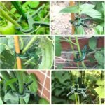 50/30/10Pcs Adjustable Plant Clips - Reusable Garden Support For Flowers, Vines, Vegetables & Tomatoes - Durable Plastic, Essential Gardening Tools - Image 8