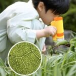 Handheld Mini Microscope Toy With Led Light Amplification 60X-200X, A Scientific Toy For Cultivating Children'S Exploration Of Nature, Easy To Carry Outdoors - Image 11