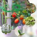 20/50/100/200Pcs, Plant Clips For Climbing Plants Garden Clips Plant Support Clips For Tomato Gardening Clips Vegetable Clips For Support For Securing Plants - Image 6