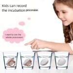 1Pc Magic Shell Surprise Bracelet, Interactive Educational Toy For Kids, Plastic Shell Cracking Game, Fun Birthday Gift For Girls - Image 6