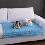 1 Piece Medium/Large Dog Bed Crate Mat Indoor And Outdoor Pet Mat Non-Slip Dog Bed Mat Super Soft Comfortable Sleeping Mat Washable Suitable For Cats And Dogs, Universal For All Seasons Xl Suitable For Large Dogs Great For Christmas Gifts - Image 6