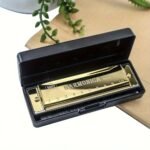 Sketchia Harmonica Key Of C, 10-Hole Chromatic, Durable Plastic With Polished Finish - Includes Protective Case, Ideal Beginner Gift, Black & Golden Options - Image 6