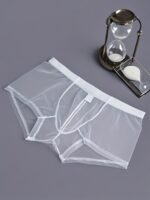 1 Pack Men'S Sheer Mesh Boxer Briefs - Soft, Breathable, Quick-Dry Underwear With Elastic Waistband, Sexy Transparent Design For Casual Wear & Exercise (White & Black), Comfortable Underwear, Sports Underwear, Minimalist Underwear, Medium Elasticity Fabric - Image 2
