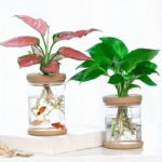 Chic Transparent Hydroponic Planter - Versatile Indoor/Outdoor Glass-Style Pot For Soilless Planting, Perfect For Green Plants & Garden Decor