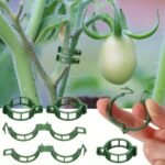 Durable Plastic Garden Trellis Clips - 10/50/100/150Pcs - Ideal For Supporting Tomato, Grape Vines & Vegetables - Promotes Healthy Upright Growth, Garden Trellis For Climbing Plants