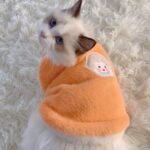 Adorable Autumn And Winter Cat Winter Clothes, Thickened Vest For Warmth, Anti-Fall Design For Puppies, Kittens, And Small Pets - Image 7
