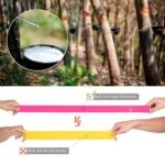 5Pcs Resistance Bands Set - Heavy-Duty Tpe Exercise Bands With Color-Coded Resistance Levels (Light, Medium, Heavy) - Stackable & Portable For Yoga, Pilates, Gymnastics, Dance - Ideal For Home, Travel, Or Gift - Compatible With Fitness Apps & Workou - Image 2