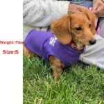 Cozy Plush Dog Sweater Coat For Small & X-Small Breeds - Adjustable Winter Spring Fall Apparel With Paw Print Design, Machine Washable, 4 Colors (Green/Blue/Purple/Pink), Small Dog Sweater, Pet Clothing, Pullover Style, Soft Fabric, Pet Fashion, Fashionconscious Pets - Image 13