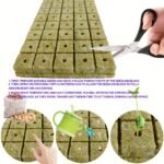 100/50Pcs 1-Inch Absorbent Cubes For Gardening, Plant Cuttings & Hydroponics - Mixed Colors, High-Quality Seedling Starter Blocks For Indoor/Outdoor Use, Easy To Use & Store, Seedling Starter Cubes, Indoor Gardening, Natural Appearance, Durable Construction, Rockwool, Hydroponic Seed Germinator, Garden Tray Seed Starting/Seedling Starter Tray, Soil Blocker Mini, Hydroponic Growing System, Hydroponics, Grow A Garden - Image 2
