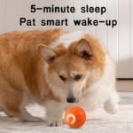 Interactive Electric Jumping Ball Dog Toy - Durable, And Safe For Small To Medium Breed Dogs - Keep Your Pet Entertained And Prevent Destructive Chewing - Image 10