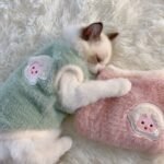 Adorable Autumn And Winter Cat Winter Clothes, Thickened Vest For Warmth, Anti-Fall Design For Puppies, Kittens, And Small Pets - Image 4