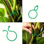 20/50/100/200Pcs, Plant Clips For Climbing Plants Garden Clips Plant Support Clips For Tomato Gardening Clips Vegetable Clips For Support For Securing Plants - Image 9
