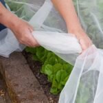 Ultra-Fine 60 Mesh Hdpe Insect Barrier Netting, Transparent 182.88X274.32Cm - Perfect For Fruit Trees, Vegetables & Blueberries, No Power Needed, Durable Plastic Garden Protection, Row Cover, Greenhouse Plants Protection, Mesh Netting