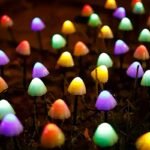 Solar-Powered Mushroom Lights With 10 Leds -, Multi-Color Options (Blue/Purple/Warm), Easy Install, Outdoor Garden & Yard Decor - Image 2
