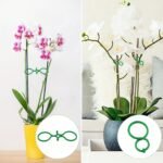 20/50/100/200Pcs, Plant Clips For Climbing Plants Garden Clips Plant Support Clips For Tomato Gardening Clips Vegetable Clips For Support For Securing Plants - Image 10