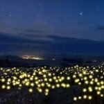 1Pc Solar Firefly Lamp: Add A Magical Glow To Your, Or Party For Christmas, Halloween, Thanksgiving Easter Gift Halloween Gift - Image 11