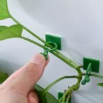 10/20/30Pcs Plant Climbing Wall Fixture Clips, Self-Adhesive Hook Vines Traction Invisible Holder Supporting Wire Fixing, For Garden Wall Clip, Vines Fixing Clips Self-Adhesive Hook Plant Vine Traction For Indoor Outdoor Decoration - Image 6