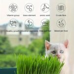 (Without Seeds) Cat Grass Planting Box, Planting Hydroponics Box, Garden Seed Sprouter Tray, Seed Sprouting Trays Set - Image 4