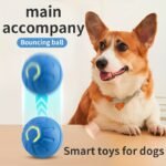 Interactive Electric Jumping Ball Dog Toy - Durable, And Safe For Small To Medium Breed Dogs - Keep Your Pet Entertained And Prevent Destructive Chewing - Image 6