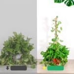 1Pc Flexiplant Metal Moss Pole For Monstera And Climbing Plants, Indoor Plant Support Stake Frame With Extension - Image 8