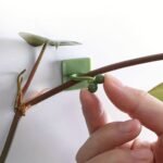 10/20/30Pcs Plant Climbing Wall Fixture Clips, Self-Adhesive Hook Vines Traction Invisible Holder Supporting Wire Fixing, For Garden Wall Clip, Vines Fixing Clips Self-Adhesive Hook Plant Vine Traction For Indoor Outdoor Decoration - Image 4