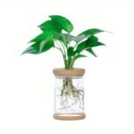 Chic Transparent Hydroponic Planter - Versatile Indoor/Outdoor Glass-Style Pot For Soilless Planting, Perfect For Green Plants & Garden Decor - Image 2