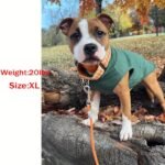Cozy Plush Dog Sweater Coat For Small & X-Small Breeds - Adjustable Winter Spring Fall Apparel With Paw Print Design, Machine Washable, 4 Colors (Green/Blue/Purple/Pink), Small Dog Sweater, Pet Clothing, Pullover Style, Soft Fabric, Pet Fashion, Fashionconscious Pets - Image 12