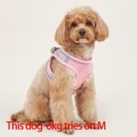 Comfy & Safe Pet Harness: Soft Mesh Cat & Dog Vest With Reflective Strip For Small Dogs - Image 4