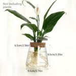 1Pc, Glass Planter Propagation Station Vase Rack Tabletop Hydroponic Plants Cuttings Office Home Decoration - Image 3
