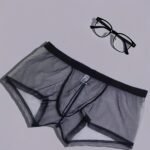 1 Pack Men'S Sheer Mesh Boxer Briefs - Soft, Breathable, Quick-Dry Underwear With Elastic Waistband, Sexy Transparent Design For Casual Wear & Exercise (White & Black), Comfortable Underwear, Sports Underwear, Minimalist Underwear, Medium Elasticity Fabric